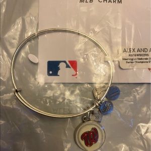 2019 WORLD SERIES CHAMPIONS WASHINGTON NATIONALS CHARM